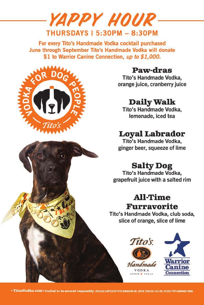 a flyer for a dog show with a dog wearing a bandana